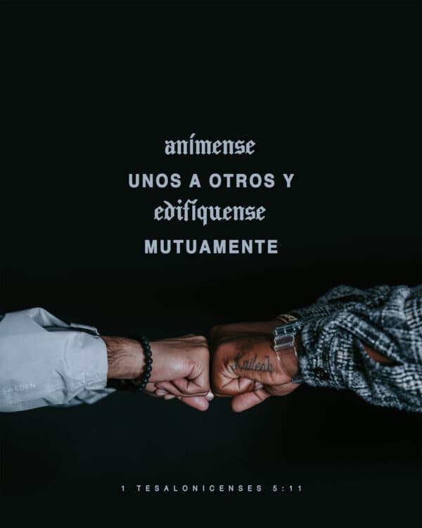 "Anímense unos a otros y edifíquense mutuamente." - 1 Tesalonicenses 5:11