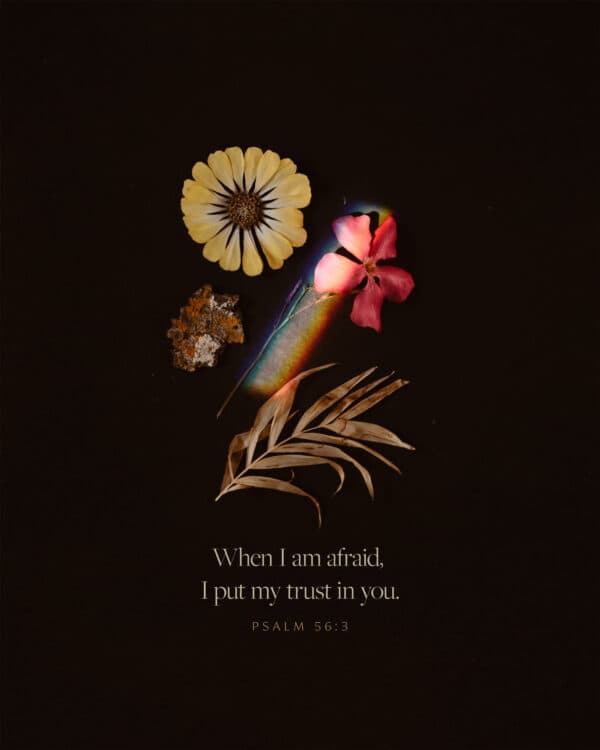 "When I am afraid, I put my trust in you." - Psalm 56:3