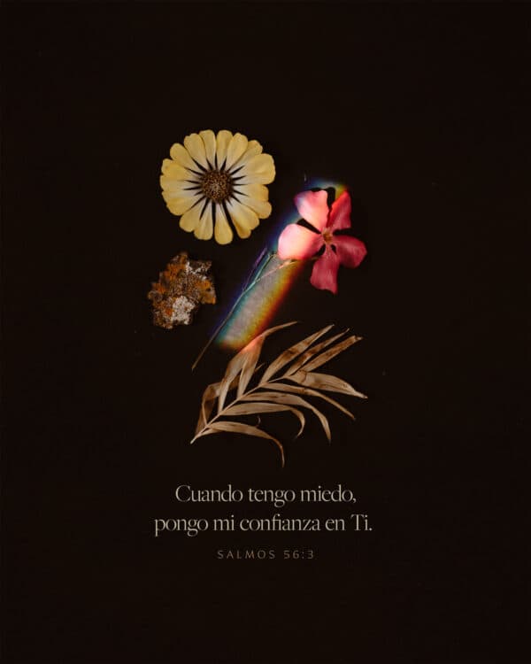 "Cuando tengo miedo, pongo mi confianza en Ti." - Salmos 56:3