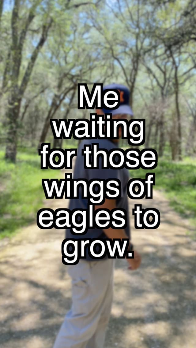 Wings of Eagles