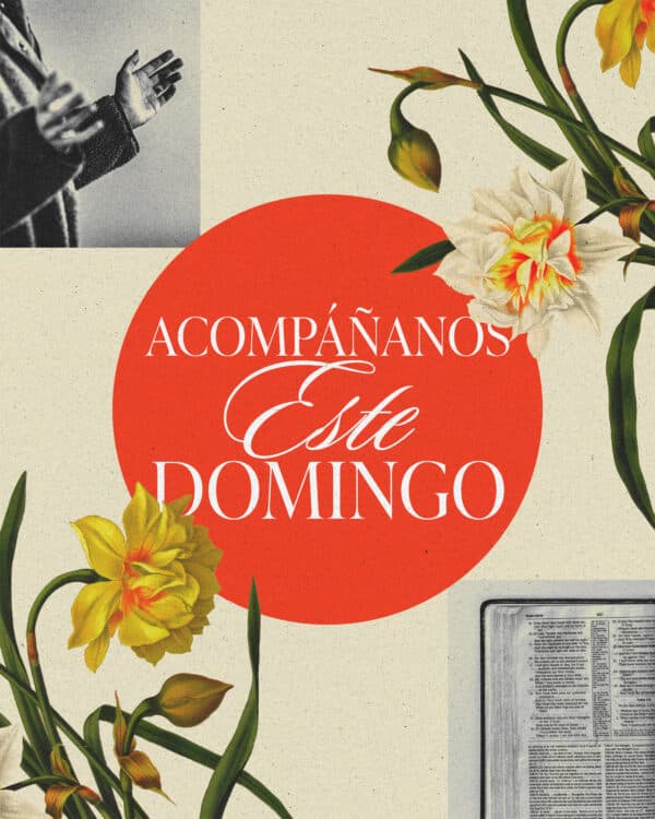 Acompáñanos este domingo