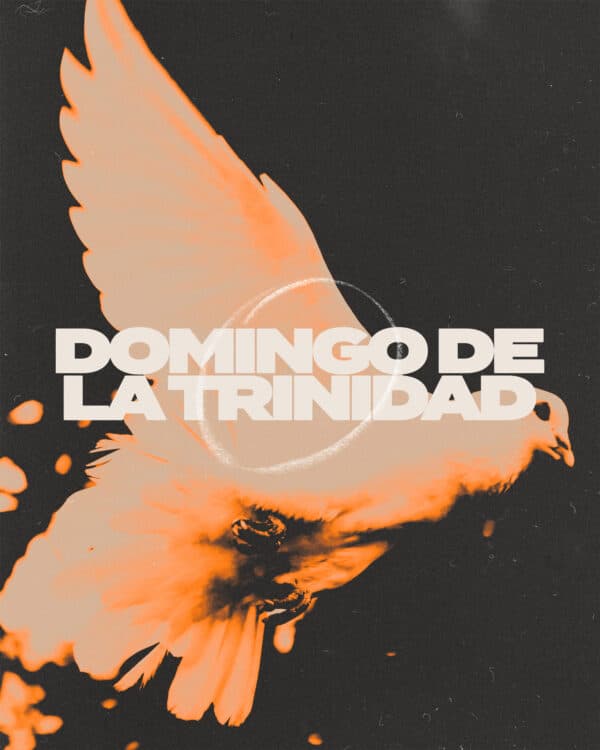 Domingo de la Trinidad