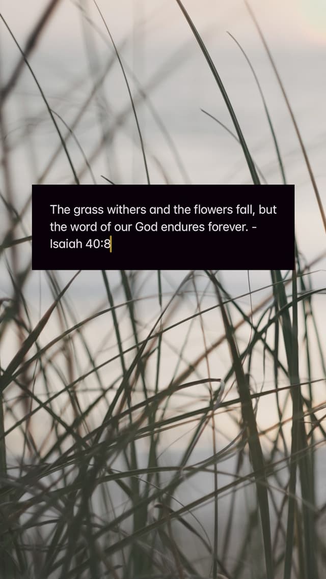 Grass Withers