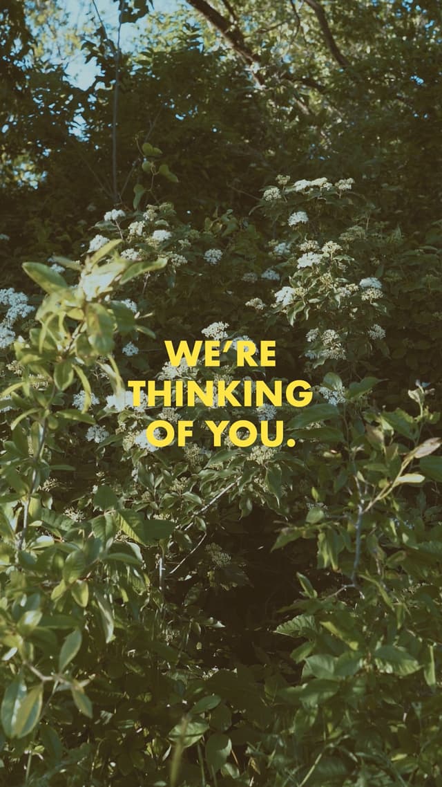 Thinking Of You