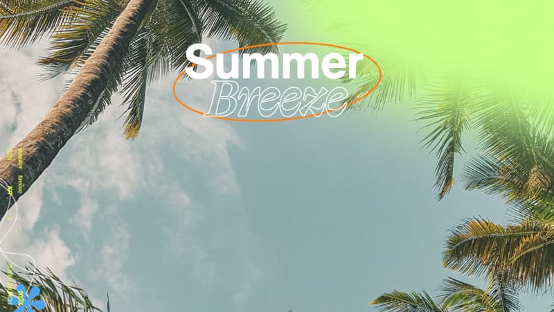 Main Graphics