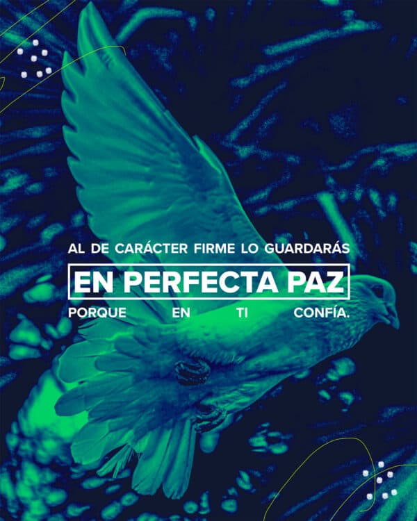 "Al de carácter firme lo guardarás en perfecta paz, porque en ti confía." - Isaías 26:3