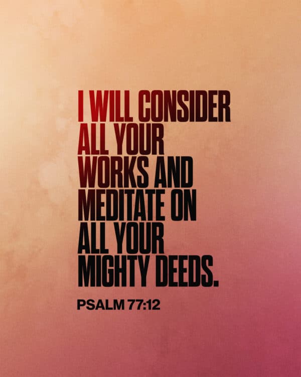 "I will consider all your works and meditate on all your mighty deeds." - Psalm 77:12