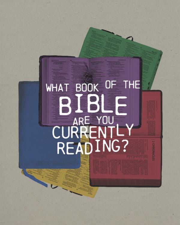 What book of the Bible are you currently reading?