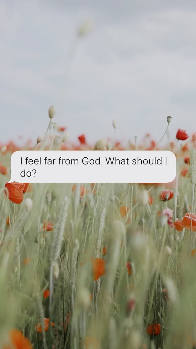 Feel Far From God
