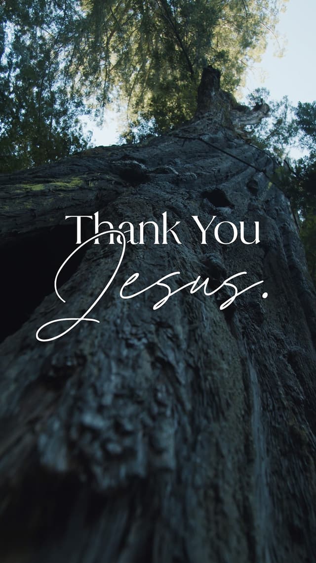 Thank You Jesus