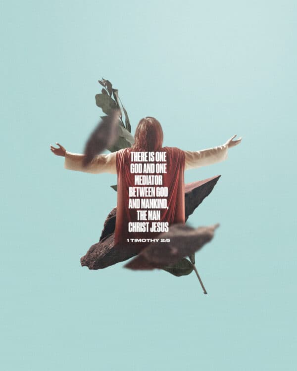 "There is one God and one mediator between God and mankind, the man Christ Jesus." - 1 Timothy 2:5