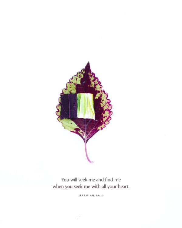 "You will seek me and find me when you seek me with all your heart." - Jeremiah 29:13