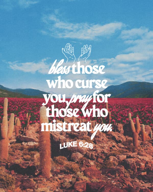 "Bless those who curse you, pray for those who mistreat you." - Luke 6:28