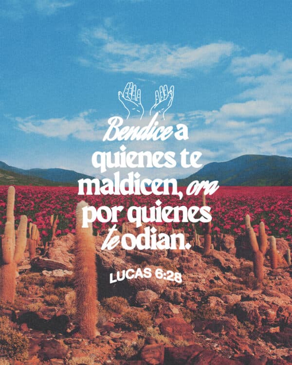 "Bendice a quienes te maldicen, ora por quienes te odian." - Lucas 6:28
