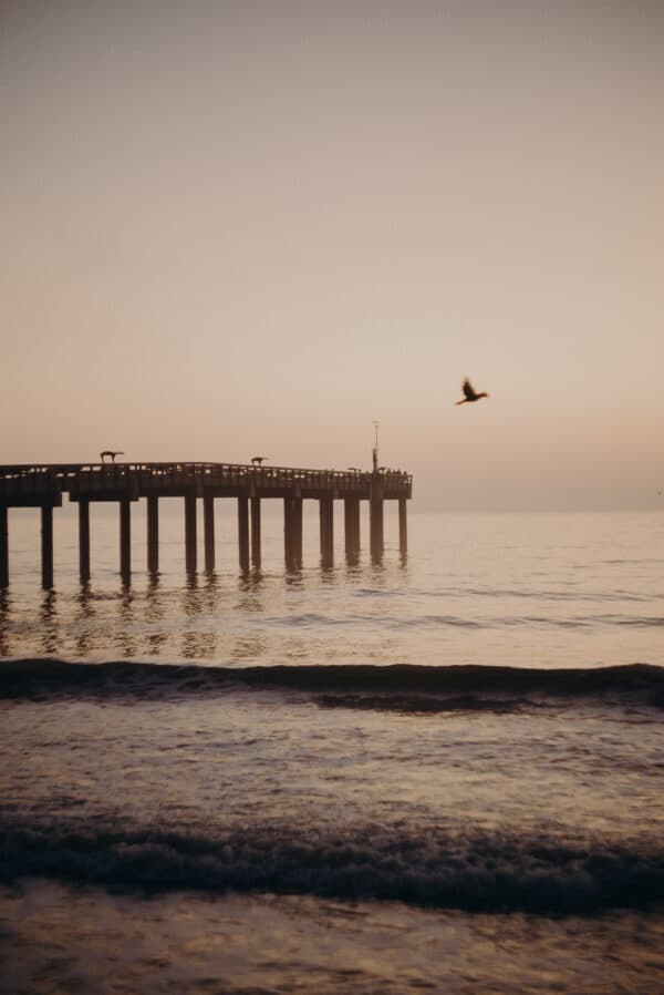 Artsy Shots 24
