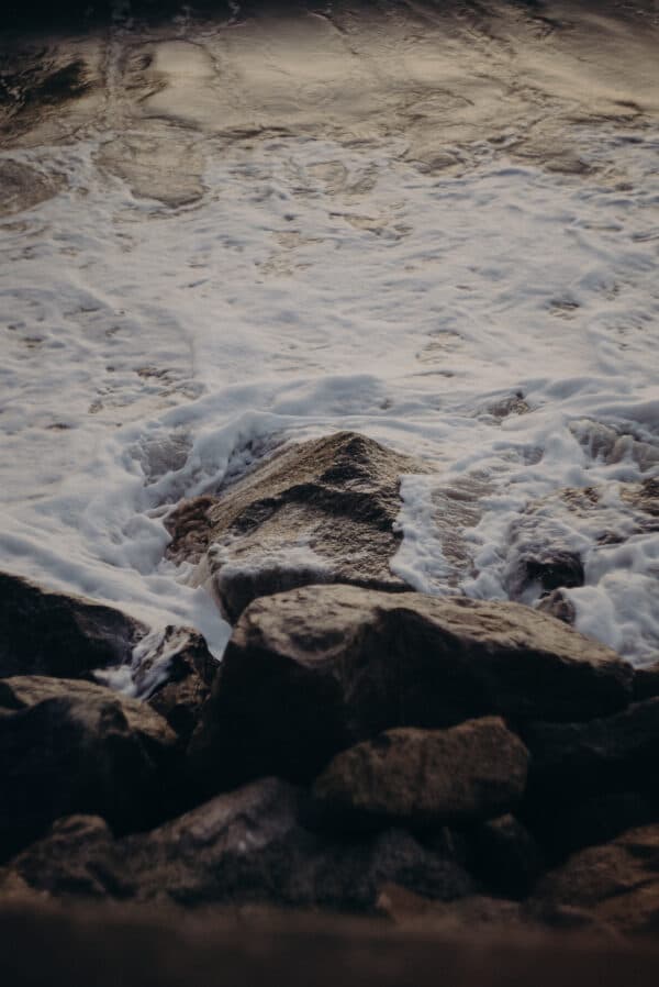 Artsy Shots 25