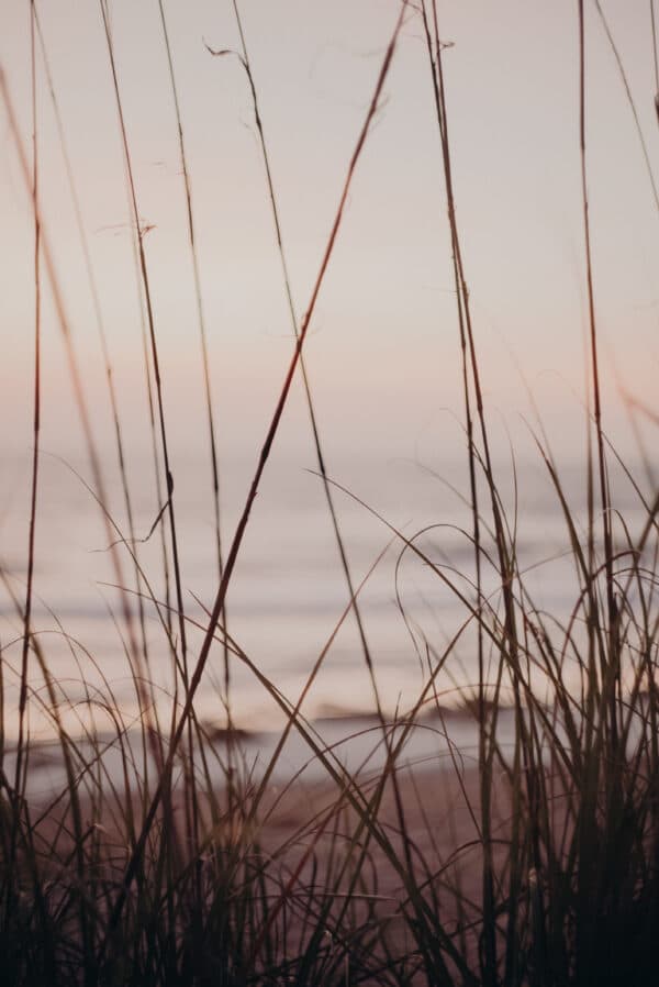 Artsy Shots 26