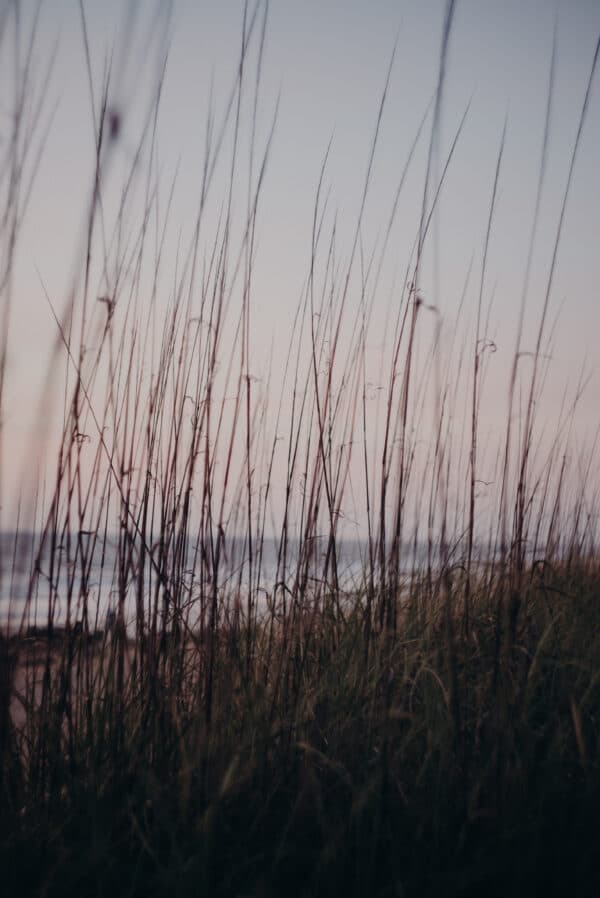 Artsy Shots 27