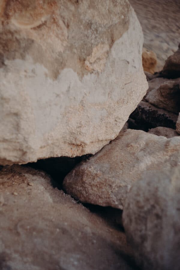 Artsy Shots 28