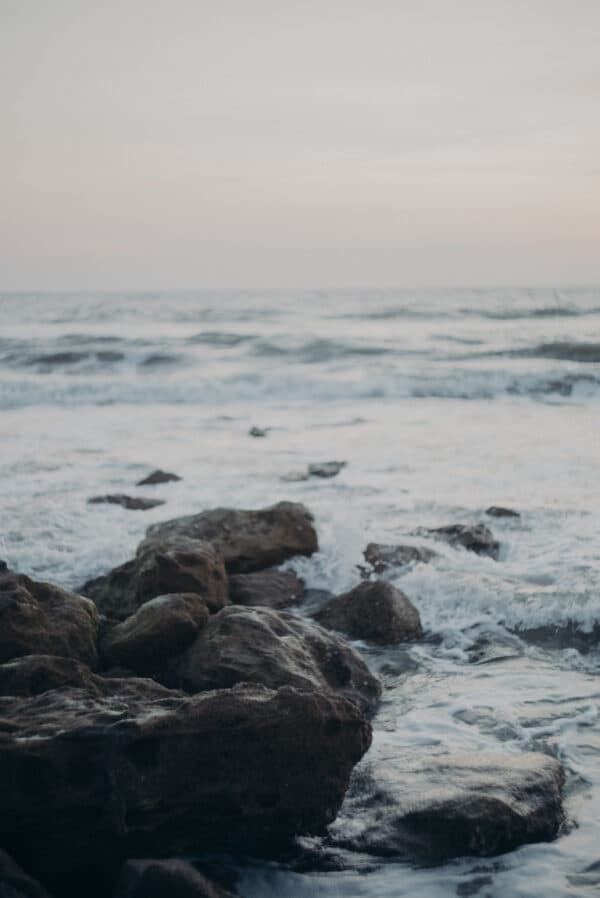 Artsy Shots 29