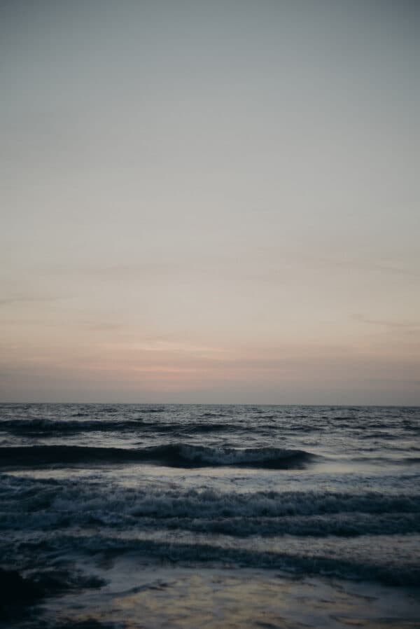 Artsy Shots 30