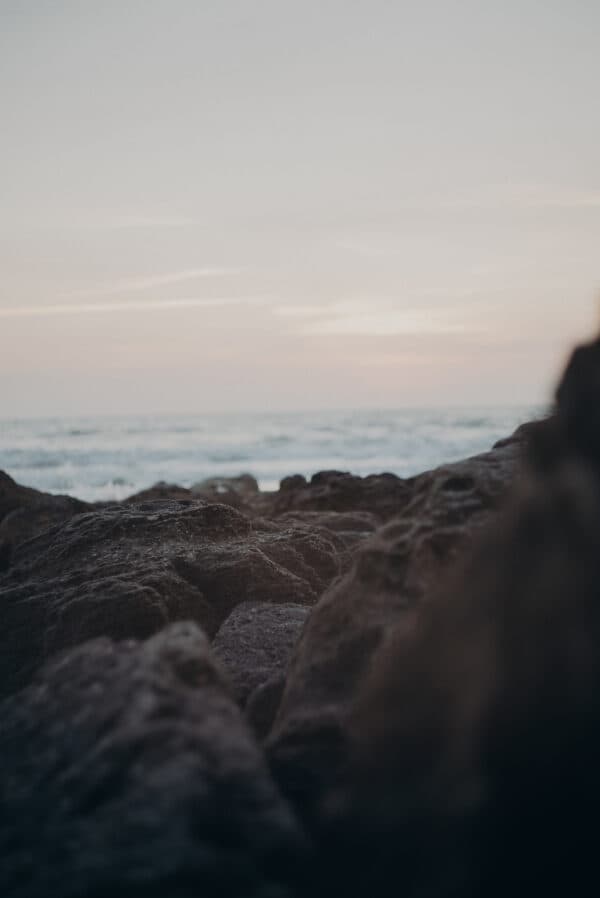 Artsy Shots 31