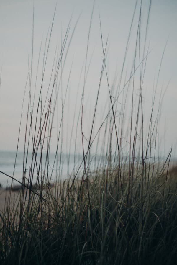 Artsy Shots 37