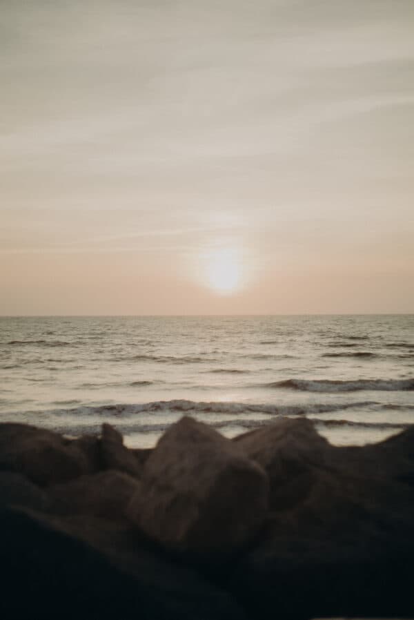 Artsy Shots 38