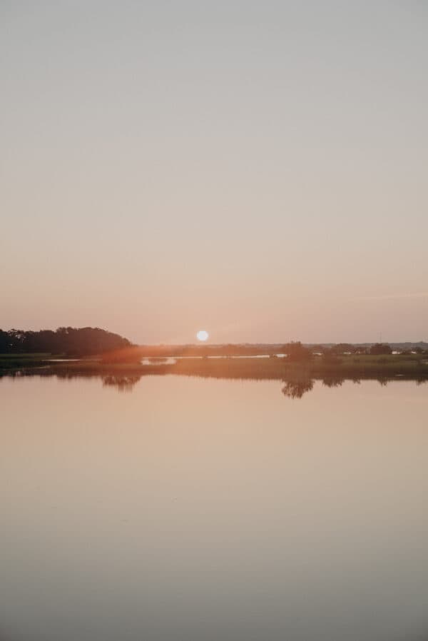Artsy Shots 6