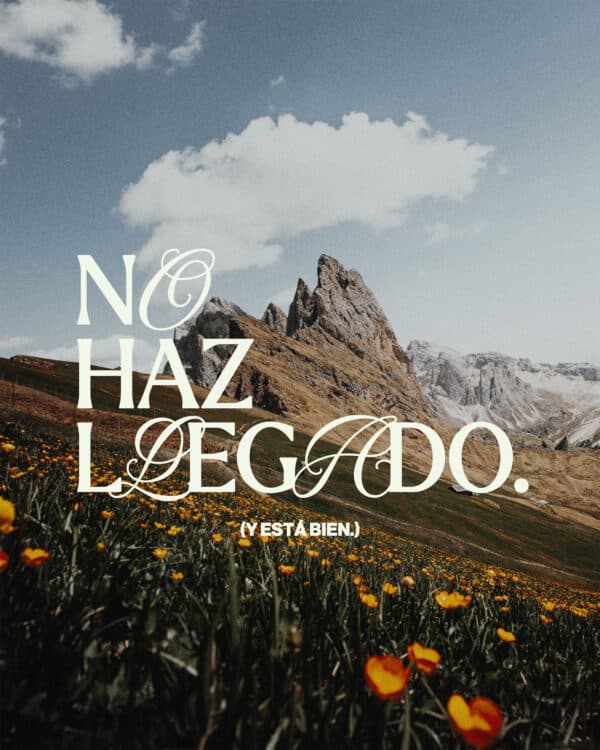 No haz llegado. (Y está bien)
