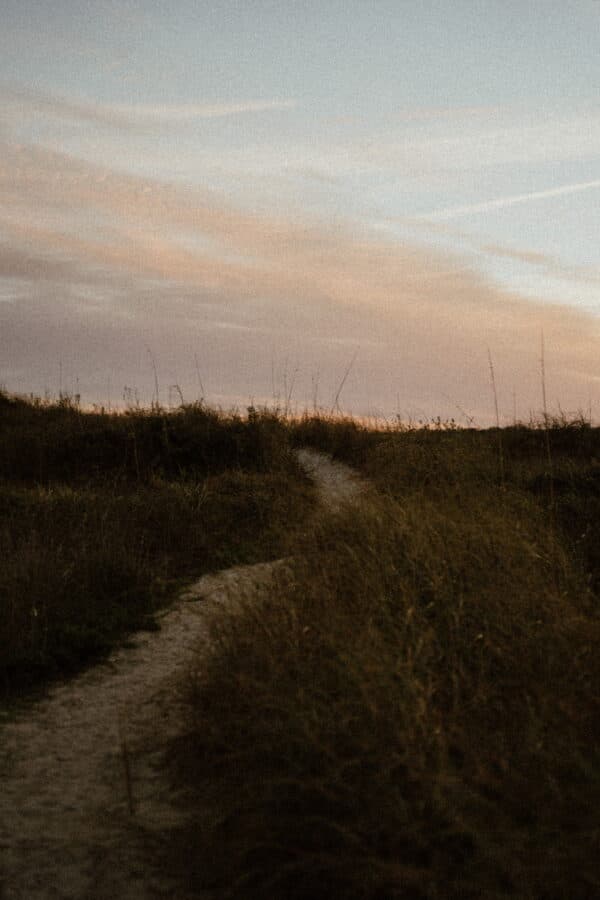 Artsy Shots 42