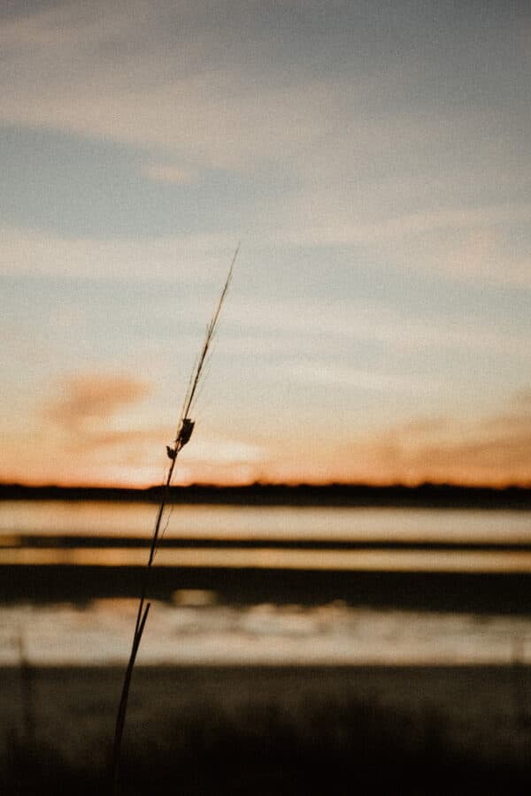 Artsy Shots 43