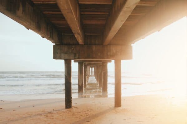 Artsy Shots 18