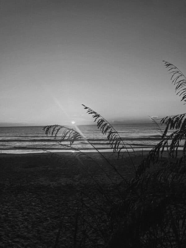 Artsy Shots 45