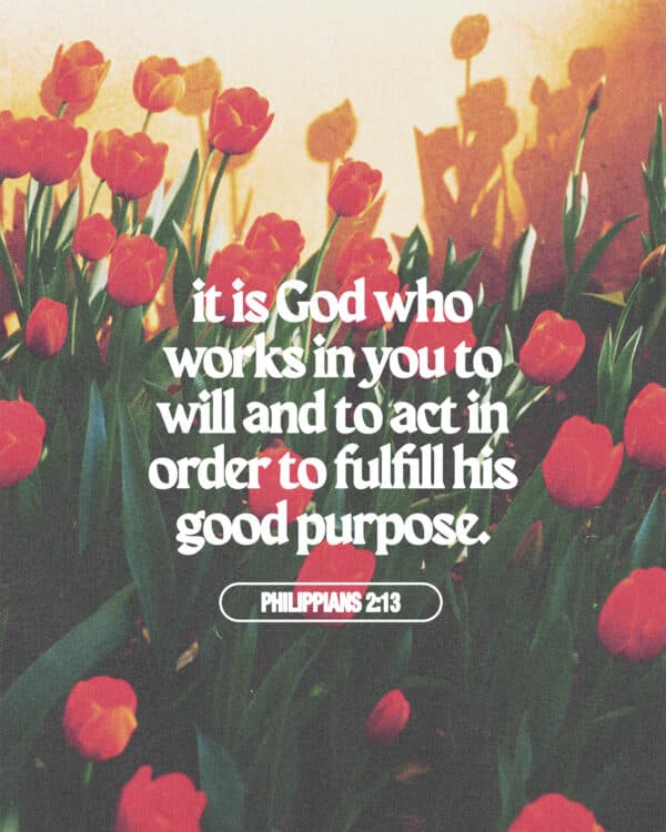 It is God who works in you to will and to act in order to fulfill his good purpose. - Philippians 2:13