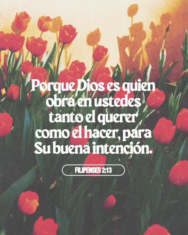 Porque Dios es quien obra en ustedes tanto el querer como el hacer, para Su buena intención. - Filipenses 2:13