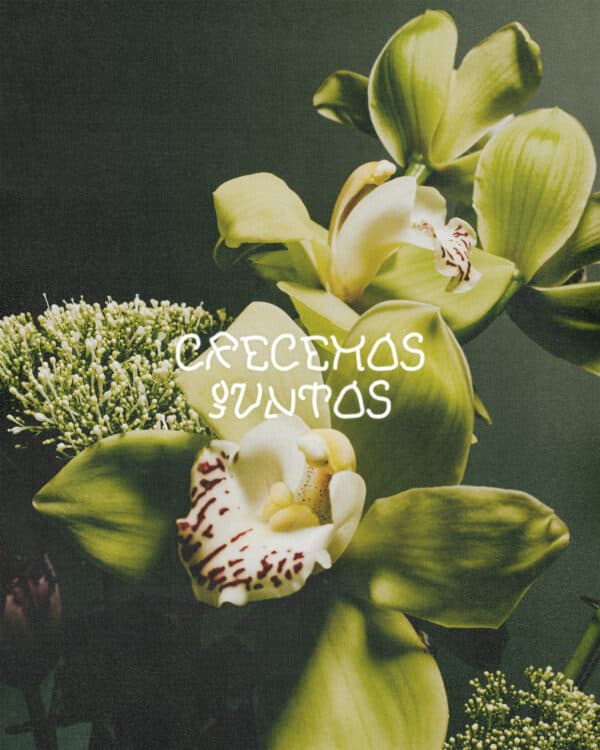 Crecemos juntos