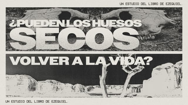 ¿Pueden los huesos secos volver a la vida? Un estudio del libro de Ezequiel