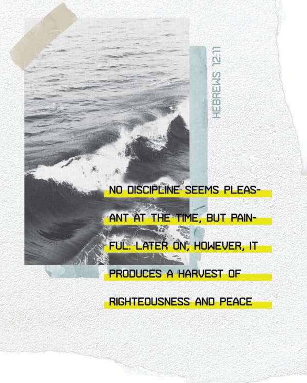 No discipline seems pleasant at the time, but painful. Later on, however, it produces a harvest of righteousness and peace. - Hebrews 12:11