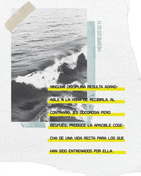 Ninguna disciplina resulta agradable a la hora de recibirla. Al contrario, ¡es dolorosa! Pero después, produce la apacible cosecha de una vida recta para los que han sido entrenados por ella. - Hebreos 12:11