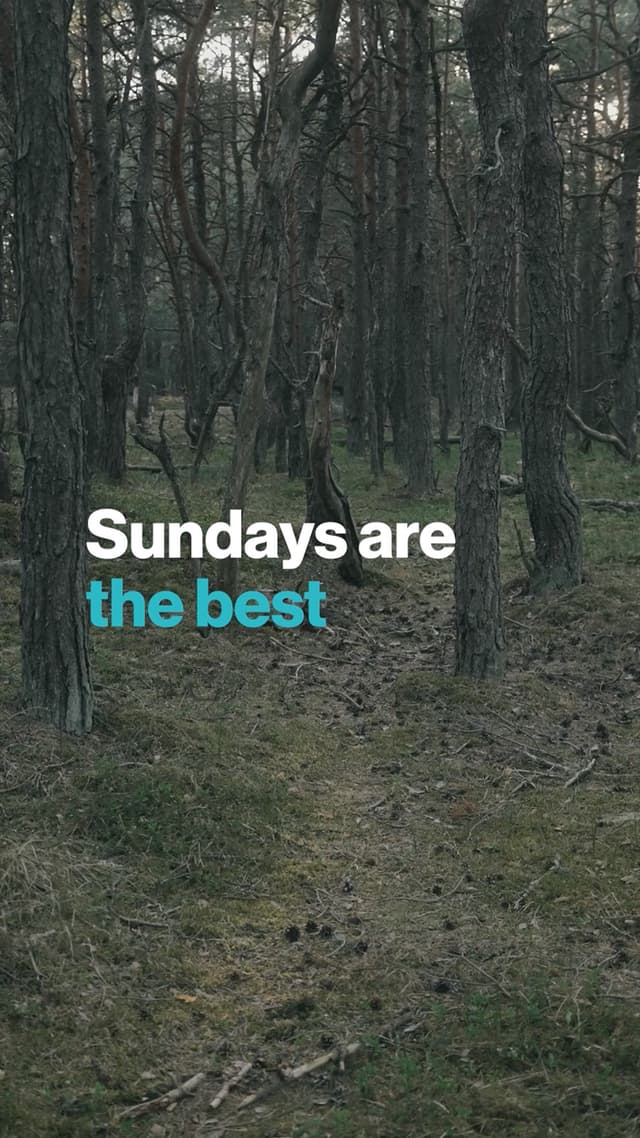 Sundays Are