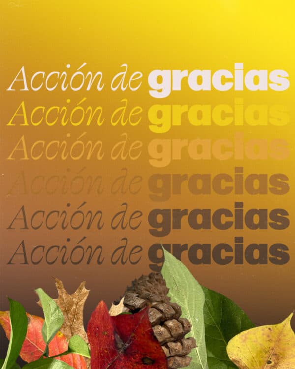 Acción de Gracias