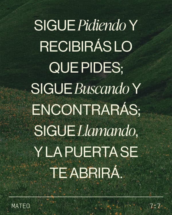 Sigue pidiendo y recibirás lo que pides; sigue buscando y encontrarás; sigue llamando, y la puerta se te abrirá. - Mateo 7:7