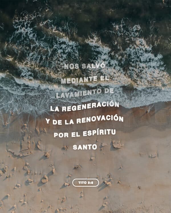 Nos salvó mediante el lavamiento de la regeneración y de la renovación por el Espíritu Santo - Tito 3:5