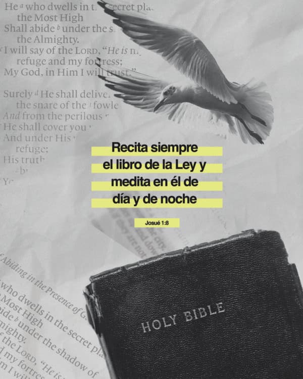 Recita siempre el libro de la Ley y medita en él de día y de noche - Josué 1:8