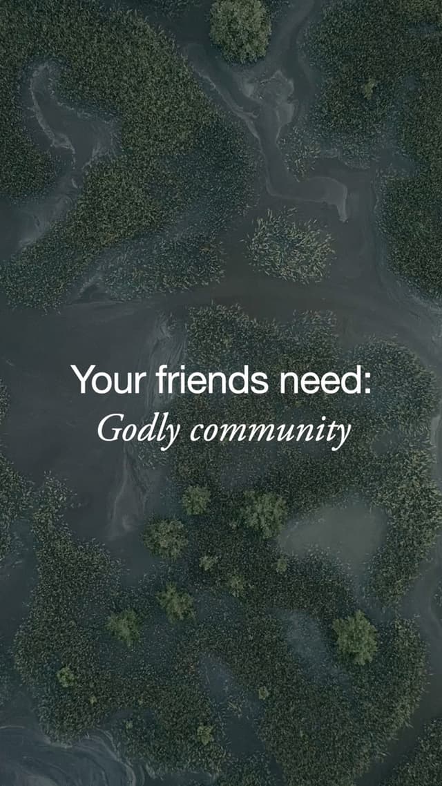 Your Friends Need