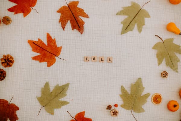 Fall/Autumn Layflat Studio Shoot 1