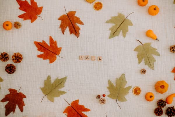 Fall/Autumn Layflat Studio Shoot 2