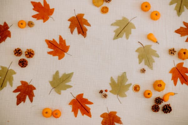 Fall/Autumn Layflat Studio Shoot 3