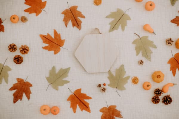 Fall/Autumn Layflat Studio Shoot 4